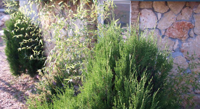 Гостевой дом ЦикадаКлуб Севастополь