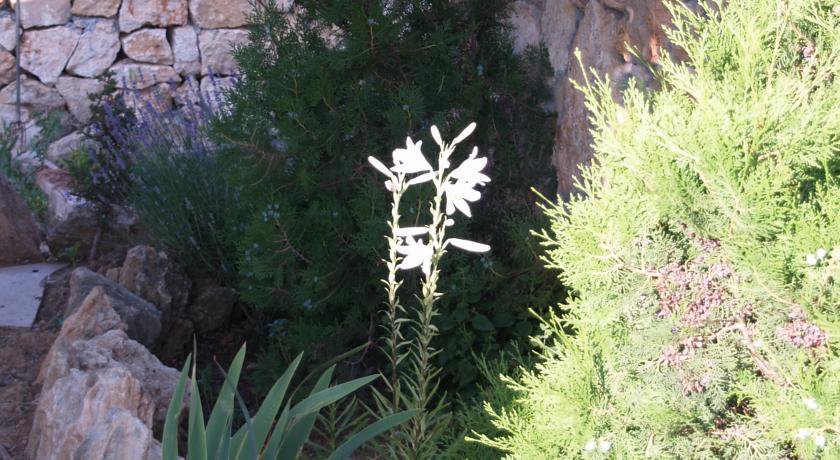 Гостевой дом ЦикадаКлуб Севастополь