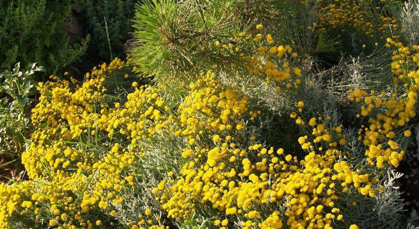 Гостевой дом ЦикадаКлуб Севастополь-25