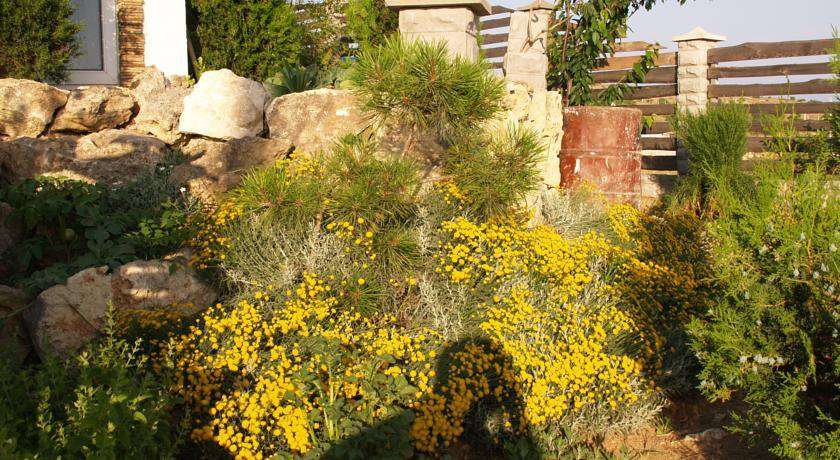 Гостевой дом ЦикадаКлуб Севастополь-24