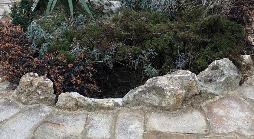 Гостевой дом ЦикадаКлуб Севастополь-42