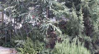 Гостевой дом ЦикадаКлуб Севастополь-6