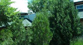 Гостевой дом ЦикадаКлуб Севастополь-3